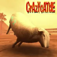Crazy Cattle