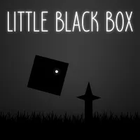 Little Black Box